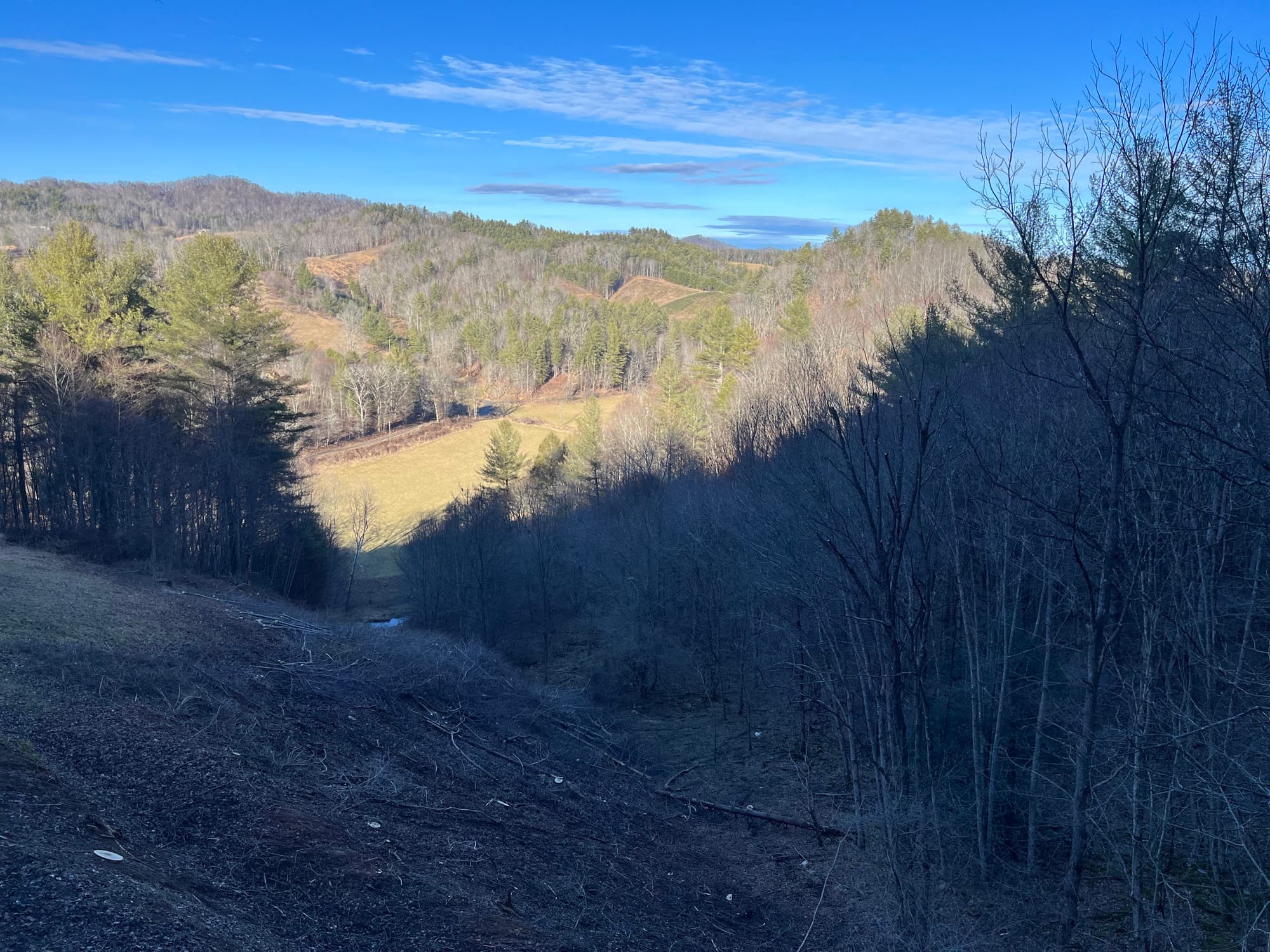 Land clearing project with heavy brush removed