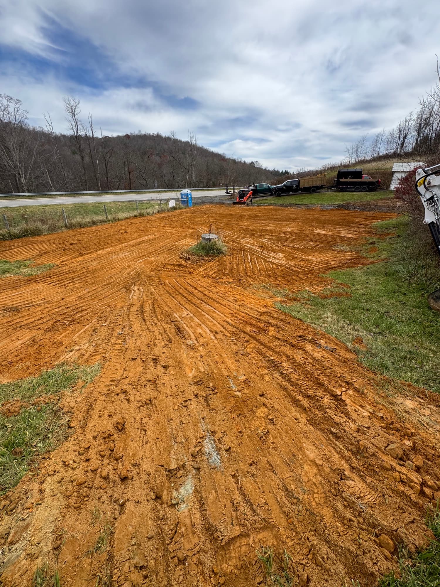 Overgrown wooded lot before land clearing