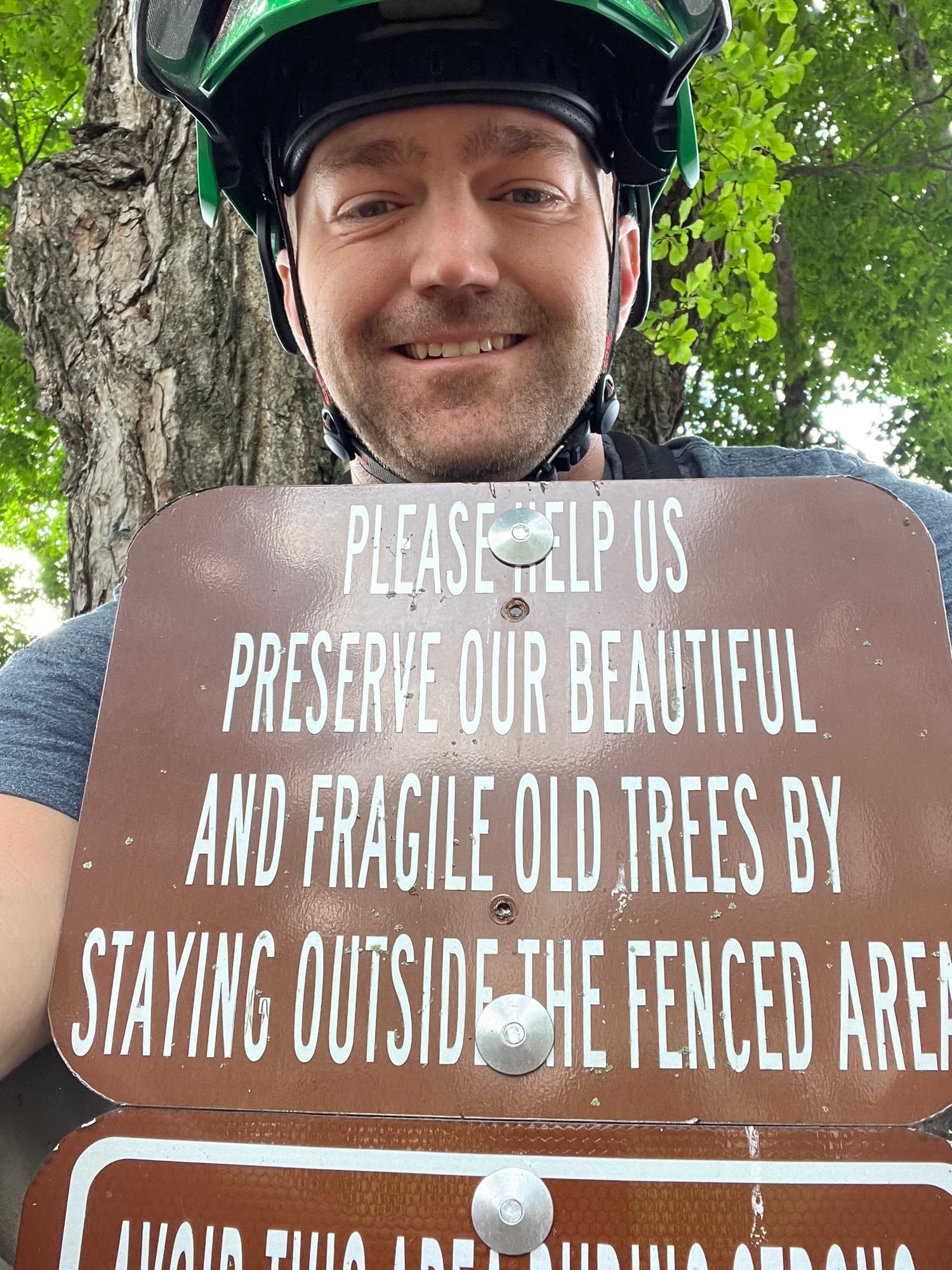 Completed commercial tree removal with clean result