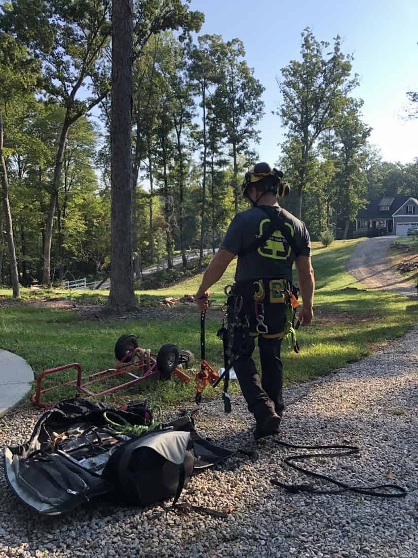 Ben Krause working on a tree in the NC High Country