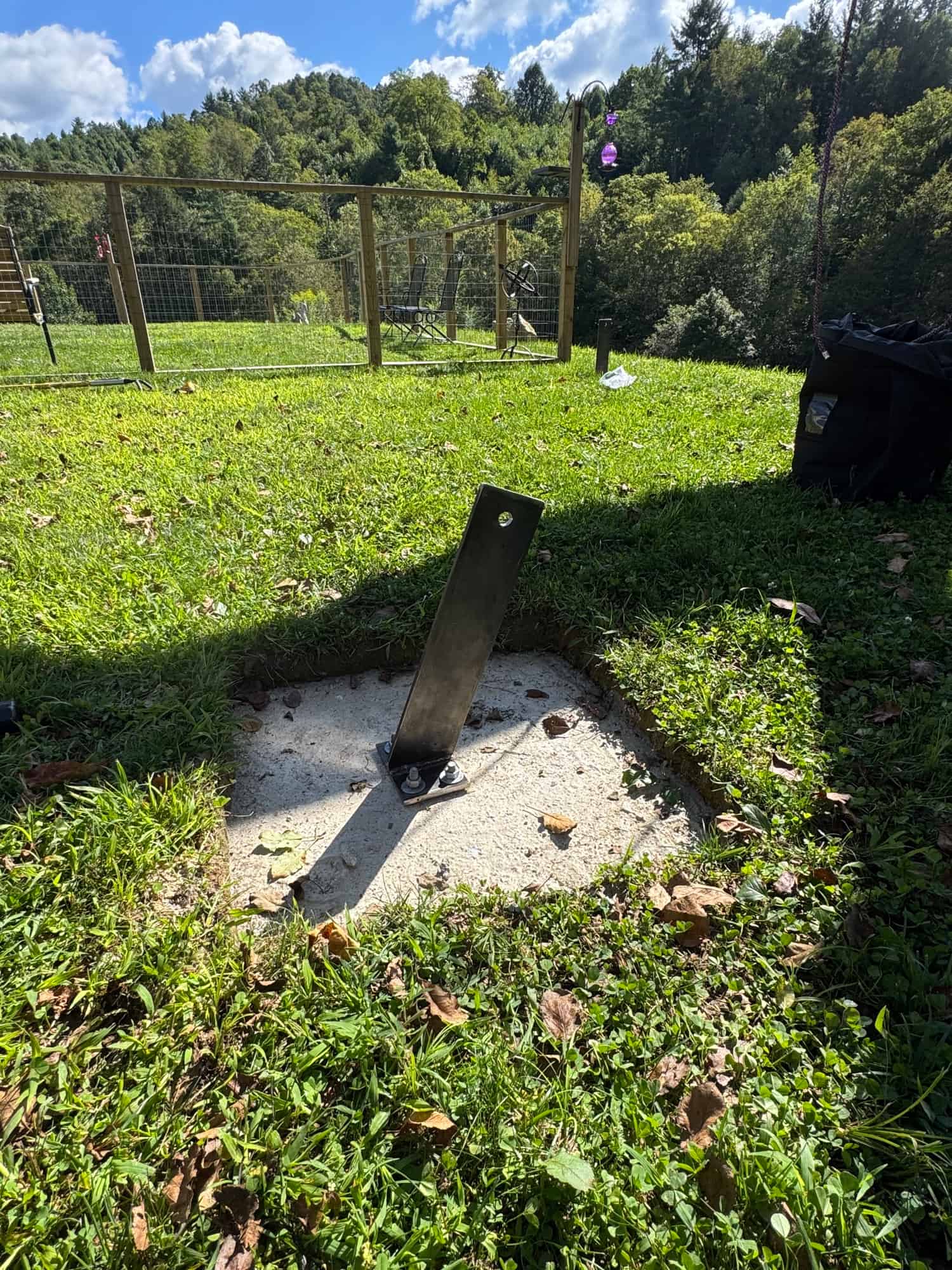 Apple tree cabling with full view of cable and brace system