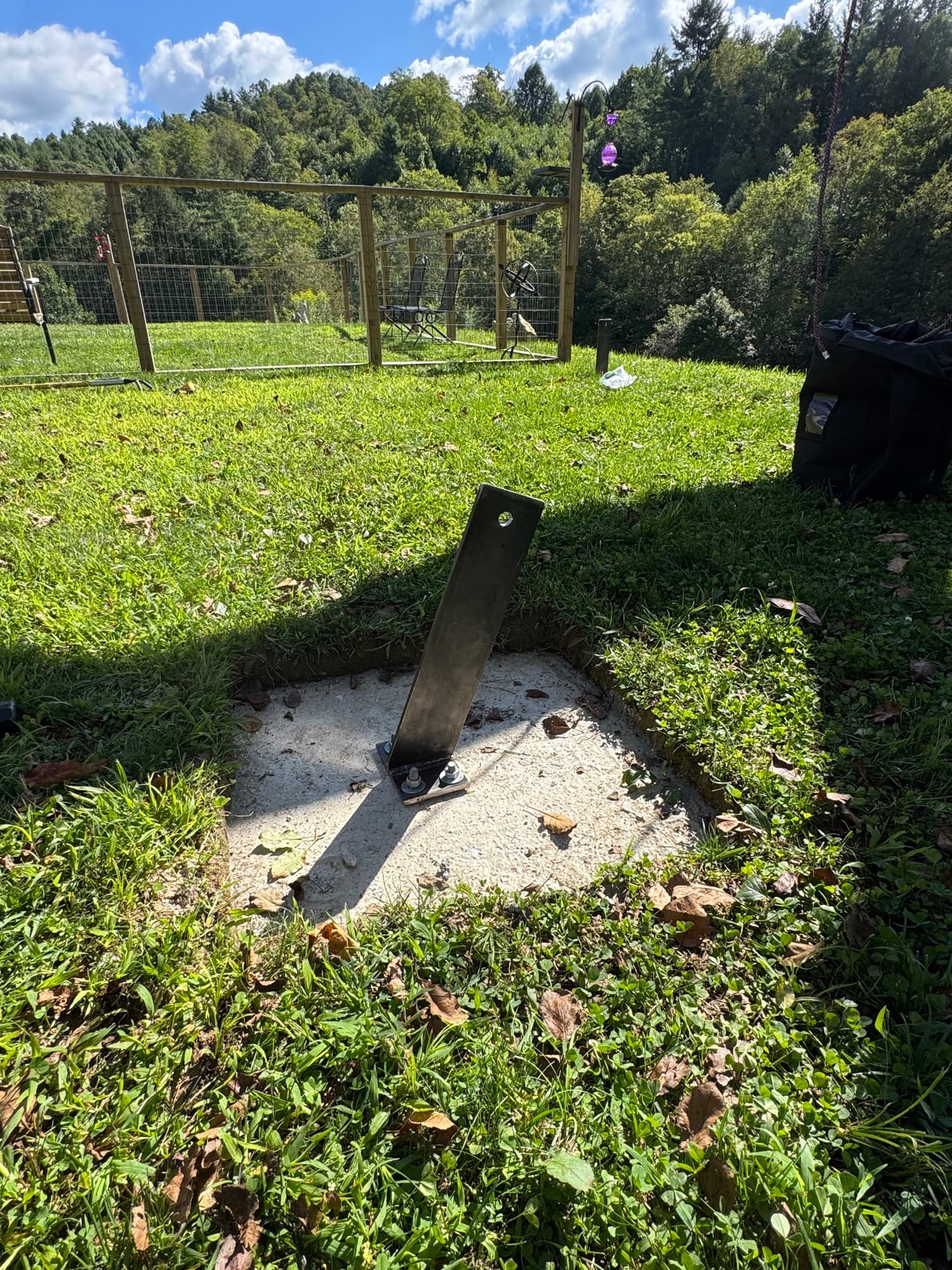 Apple tree cabling with full view of cable and brace system