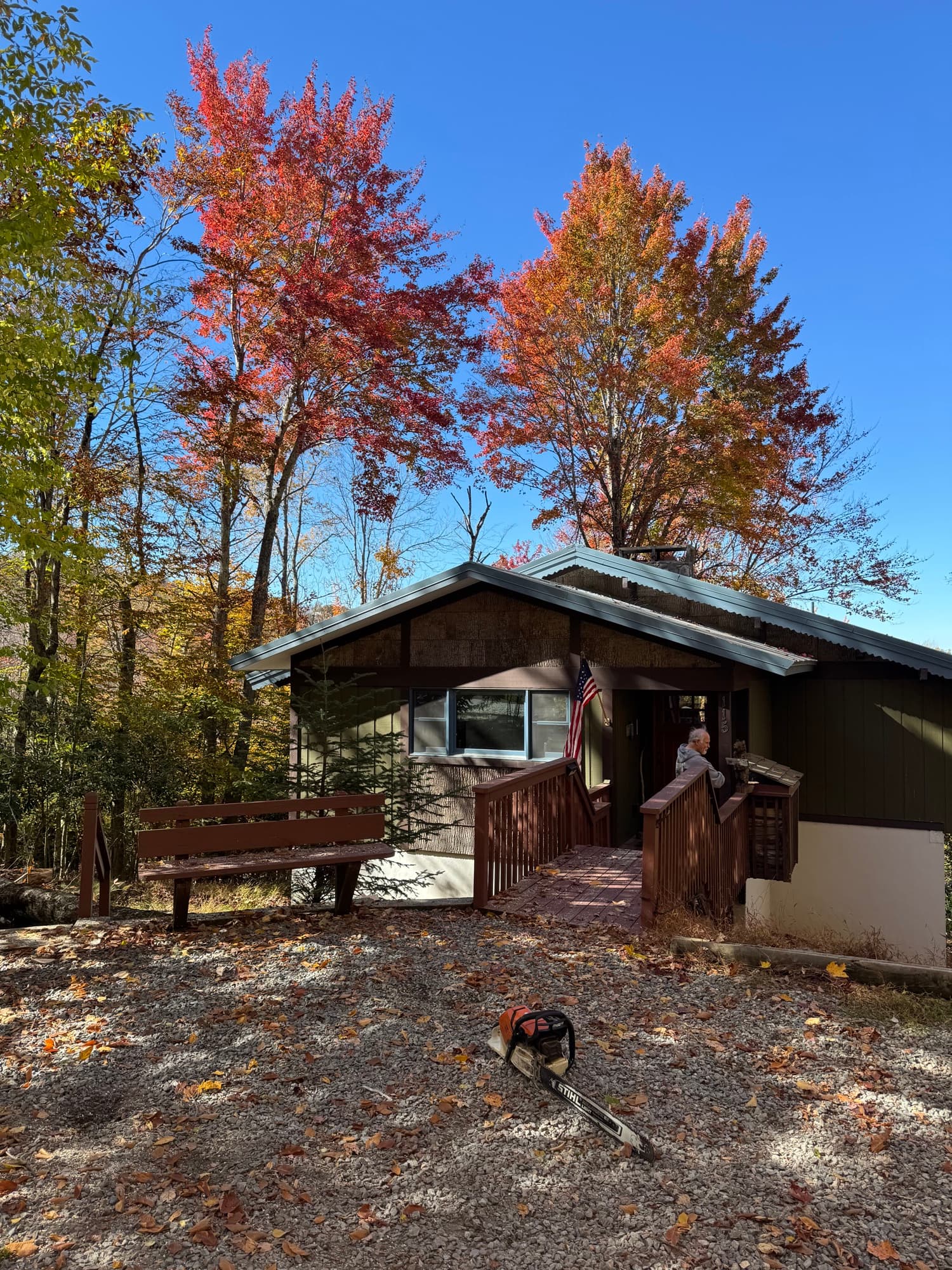 Clean yard after tree removal