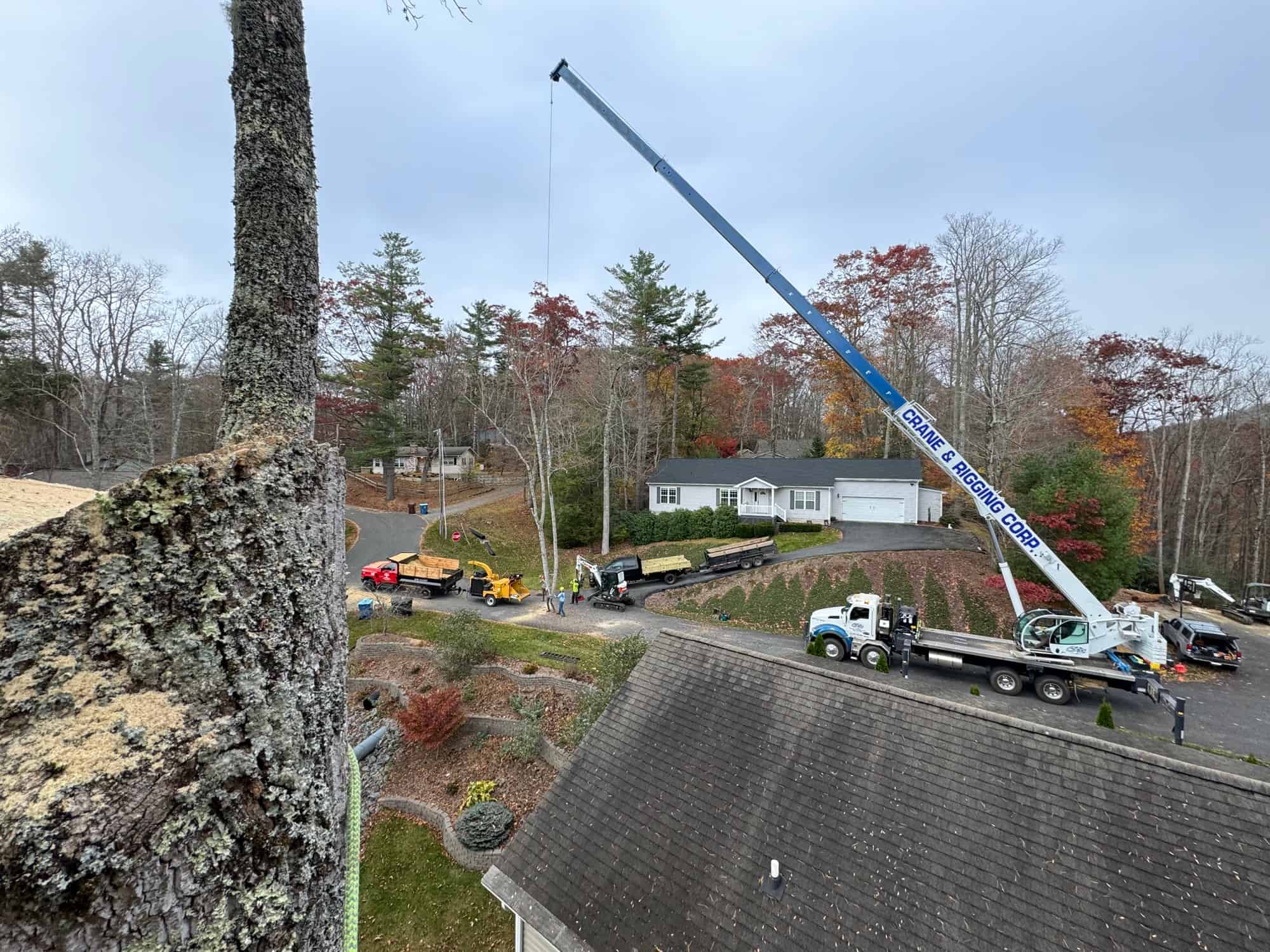 Crane-assisted tree removal for safe precision work