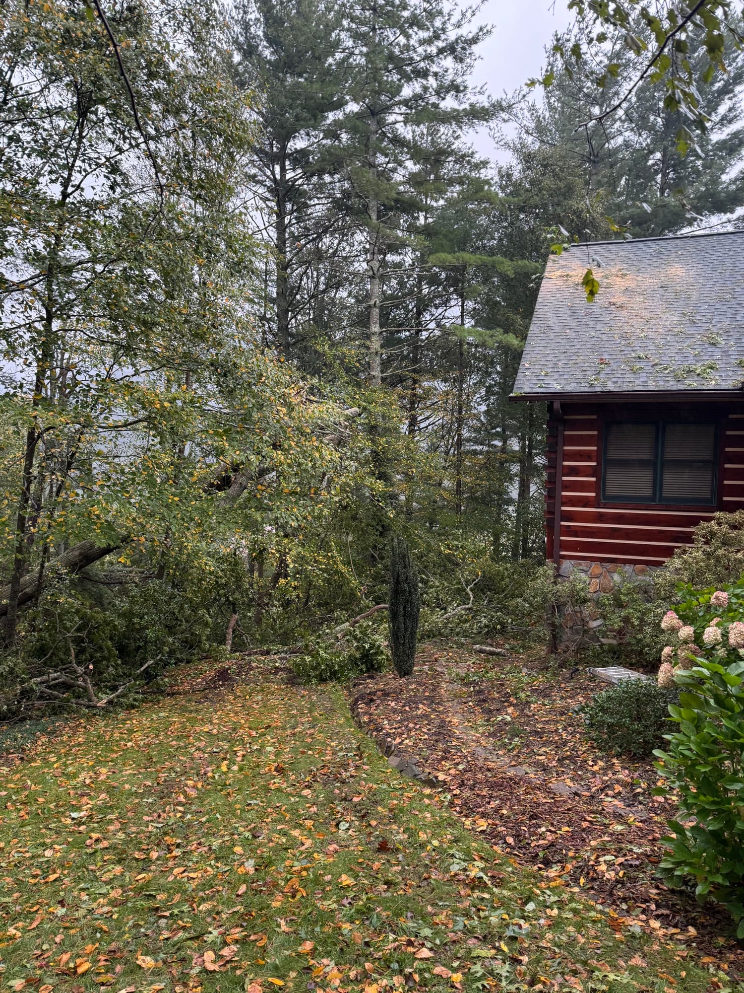 Property cleared after emergency storm cleanup