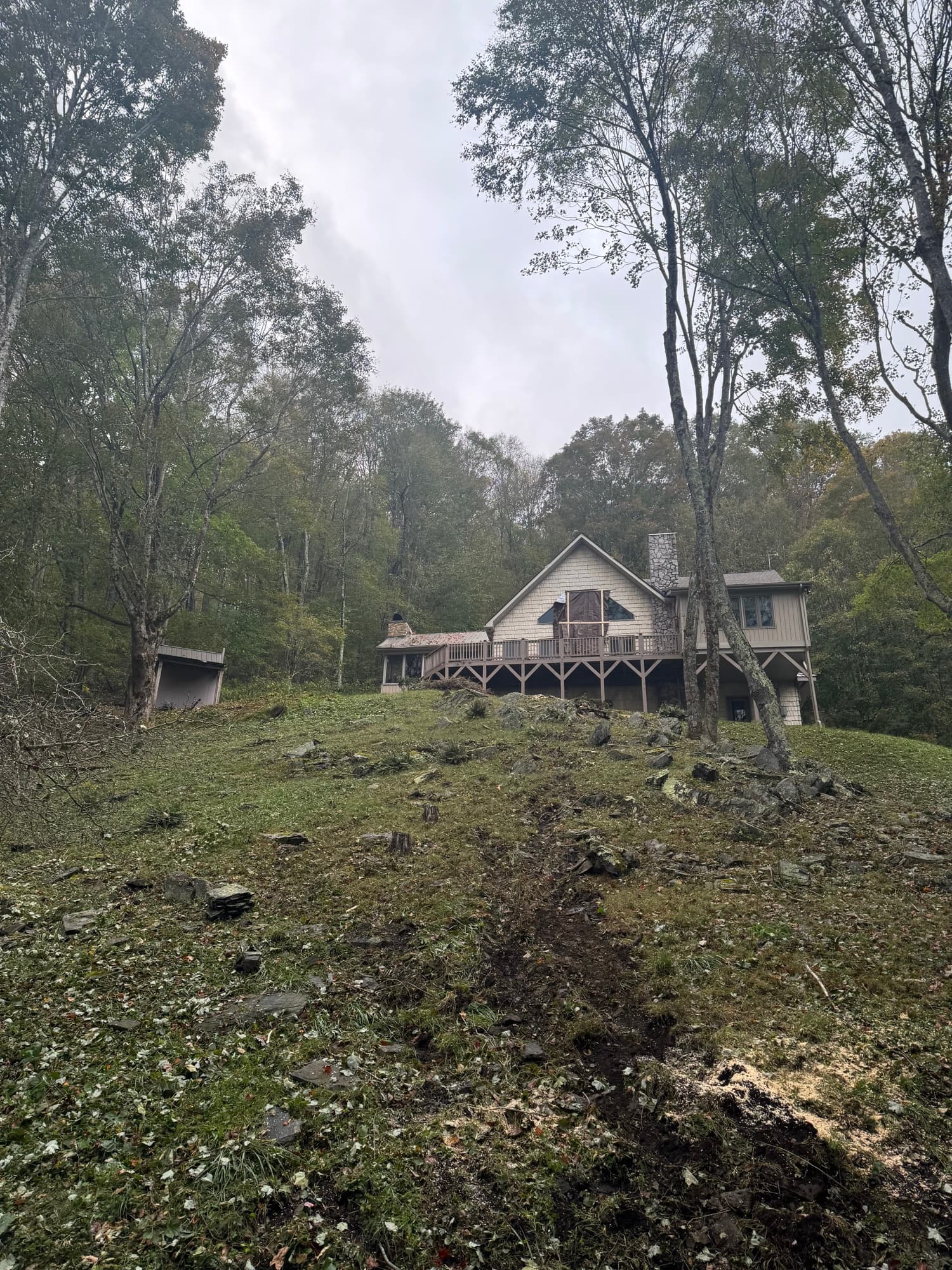 Driveway cleared after storm tree removal