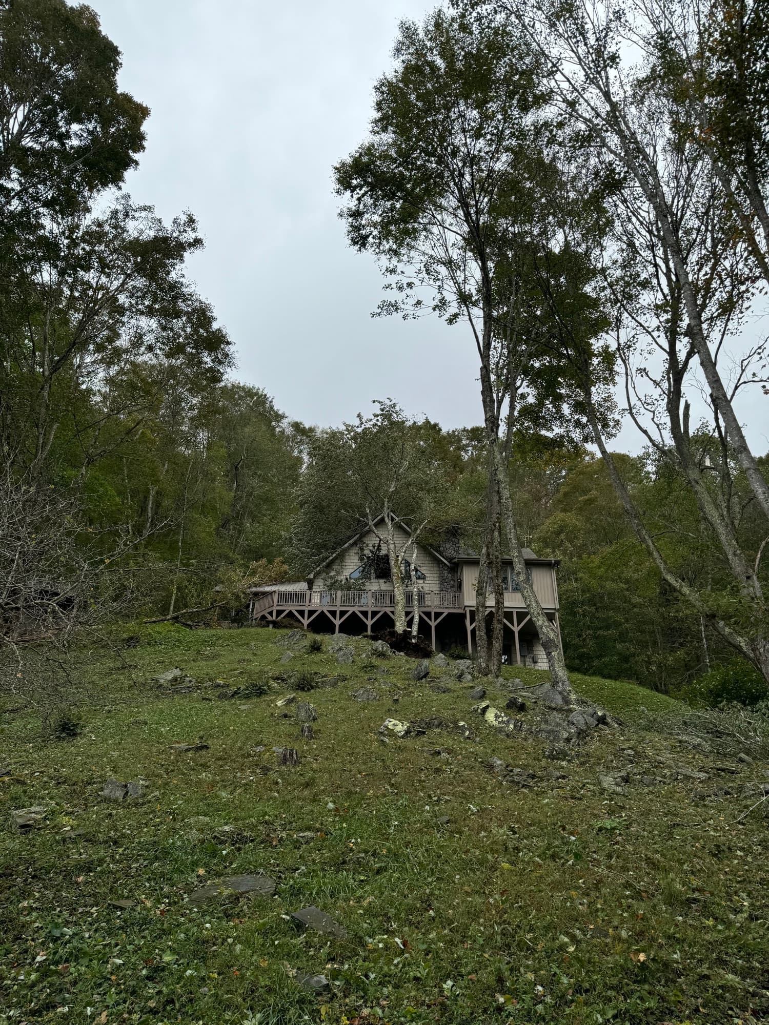 Fallen tree blocking driveway after storm