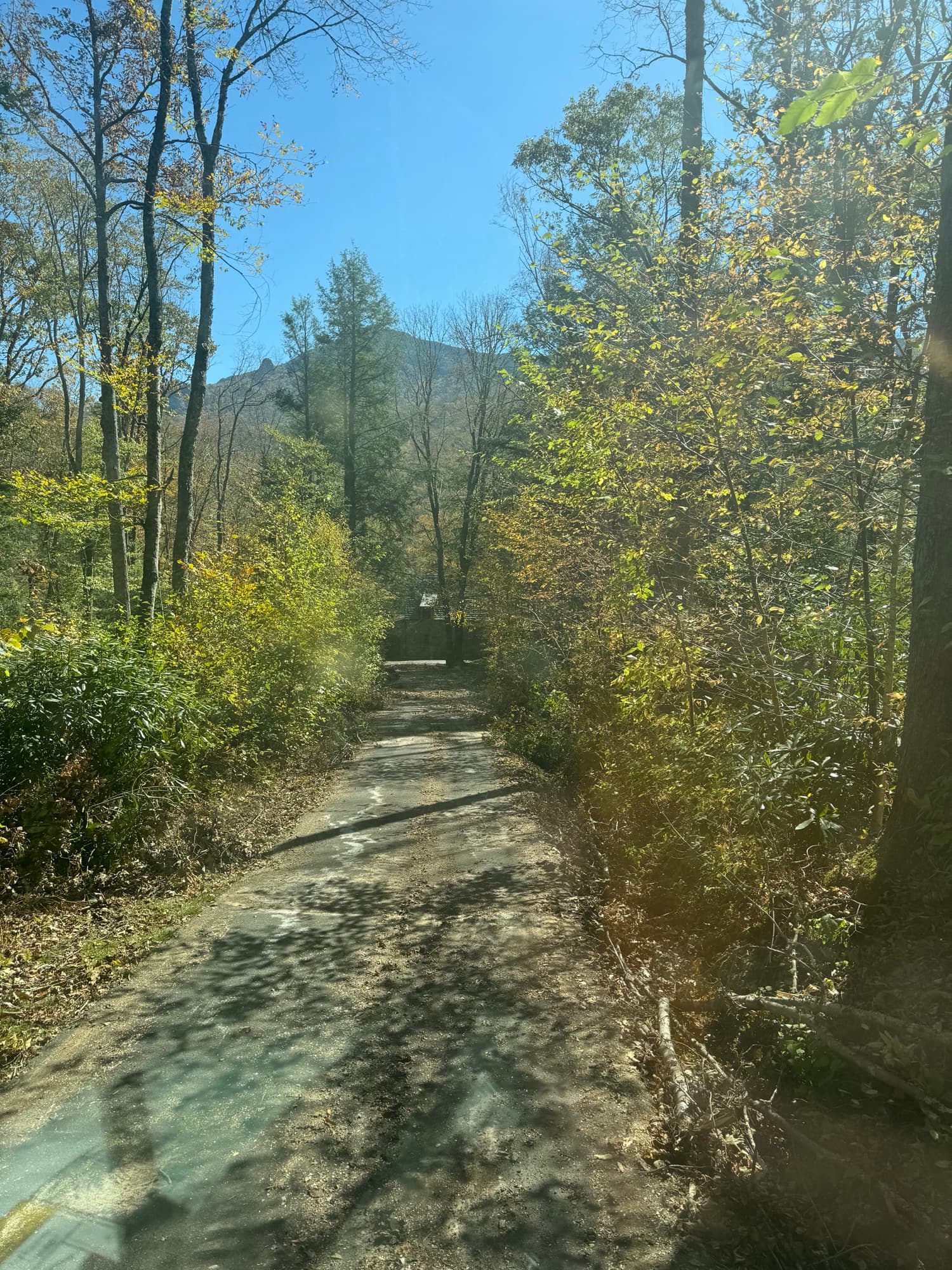 Fence area cleaned up after storm damage removal