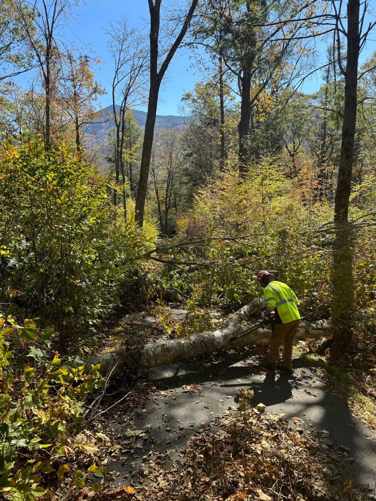 Storm damage with tree down on fence