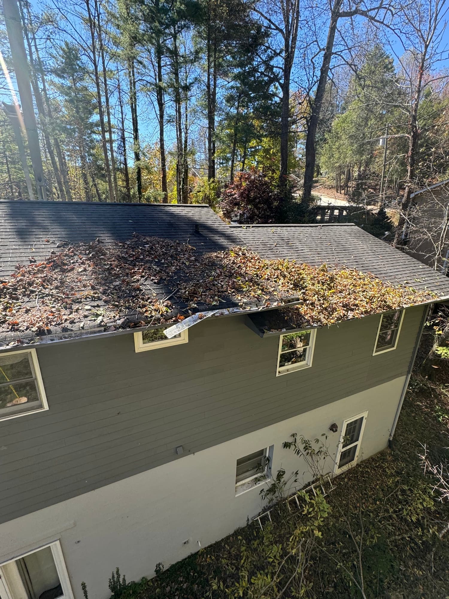 Yard restored after large uprooted tree removal
