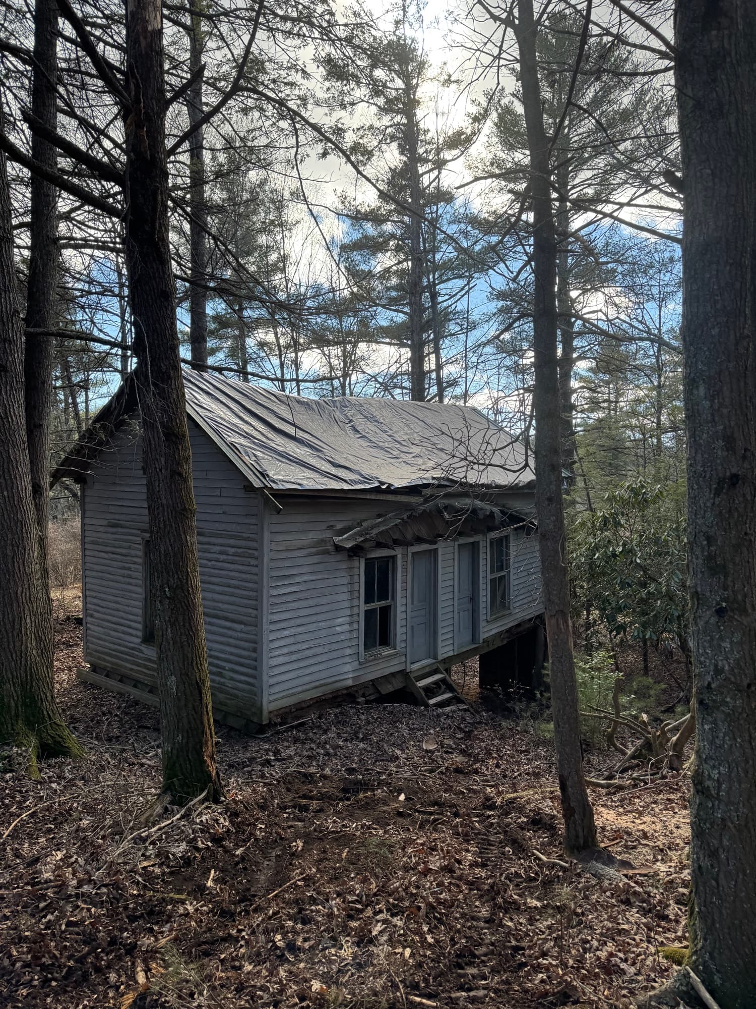 Roof area safe after emergency tree removal