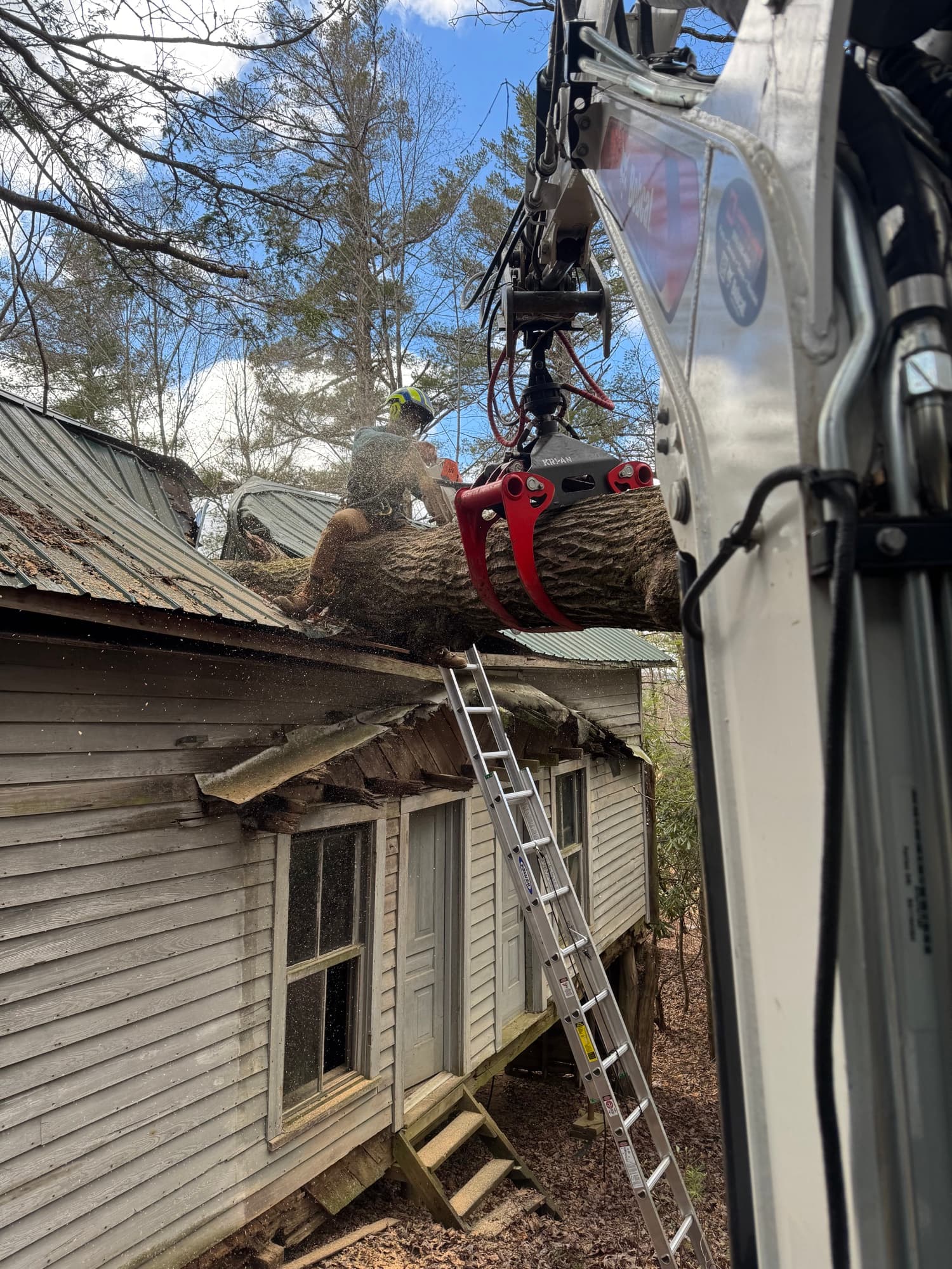 Wind-damaged tree threatening roof structure