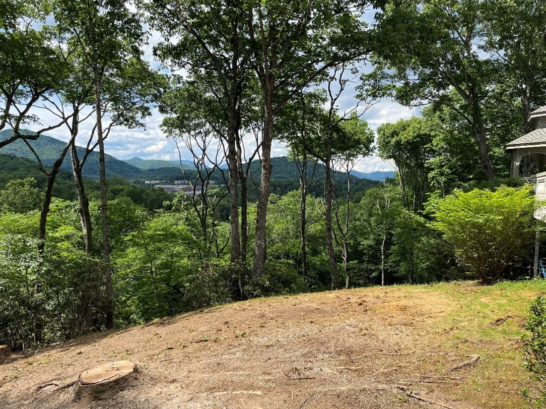 Panoramic mountain view after selective tree removal