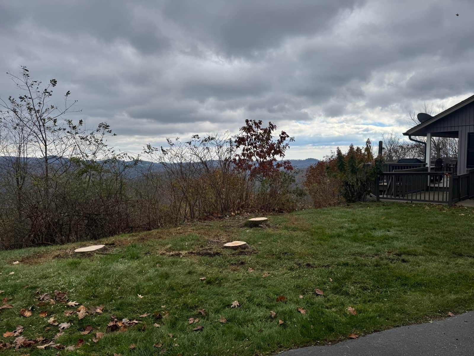 Mountain property with fresh stumps where trees were cleared to create defensible space, mountain views behind