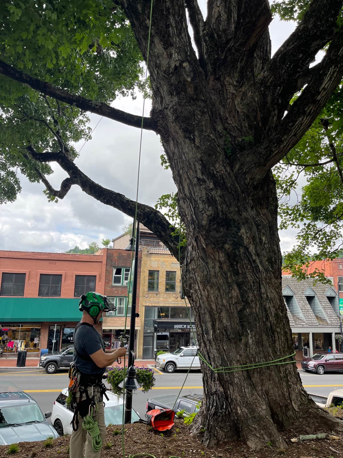 Historic Jones House in Boone surrounded by preserved mature trees