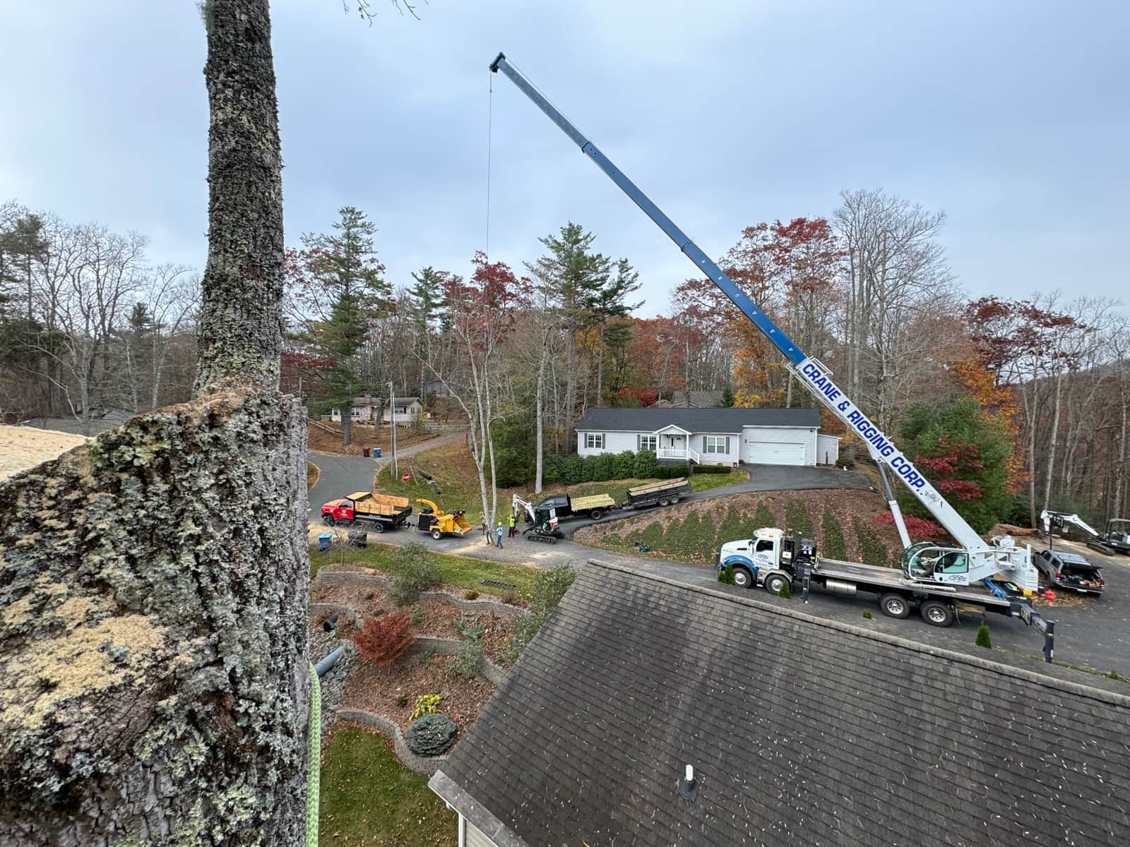 Aerial view of crane tree removal operation with crane truck, dump trucks, and crew in a fall foliage neighborhood