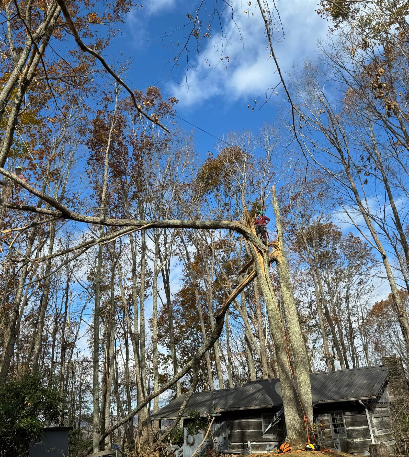 Arborist working on a massive storm-snapped tree leaning over a cabin during emergency cleanup
