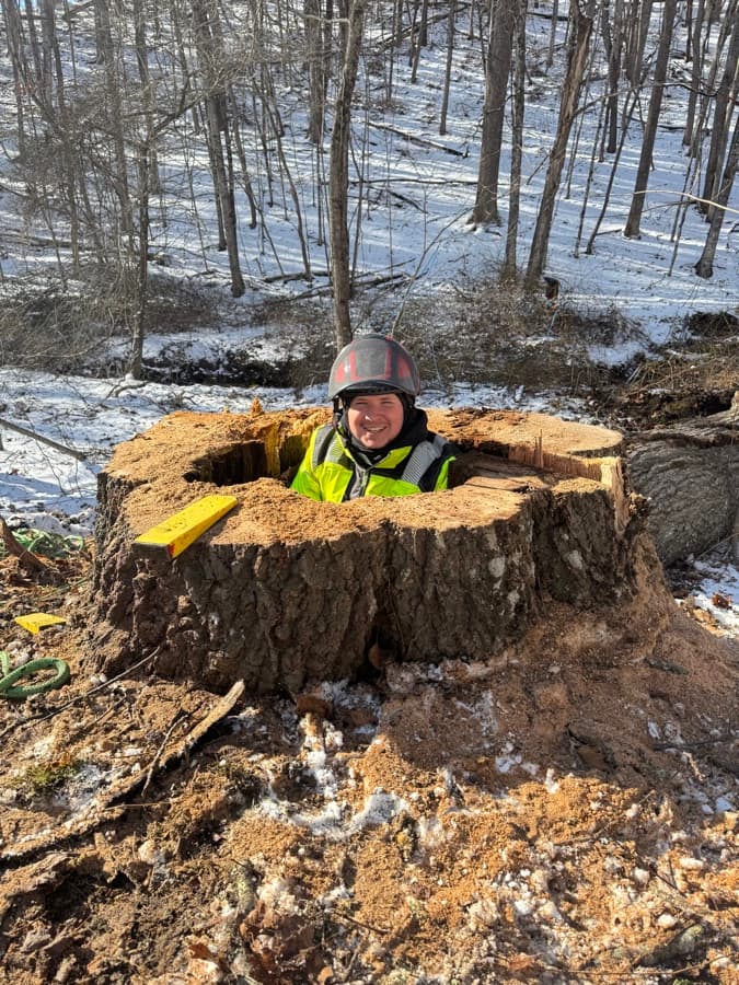 Matt Mullis standing next to a freshly cut tree stump