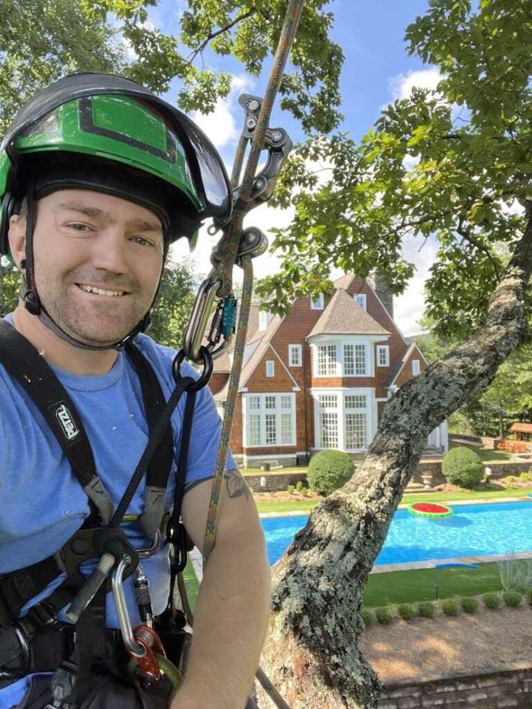 One of our trained arborists in a harness and safety gear, perched in a tree and ready to trim its branches