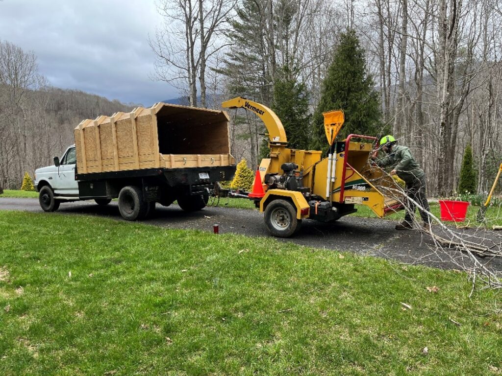 One of our arborists putting tree limbs in a wood chipper