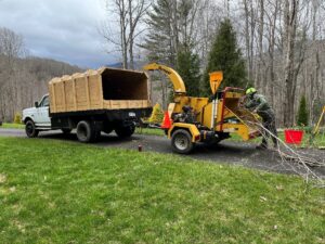 One of our arborists putting tree limbs in a wood chipper
