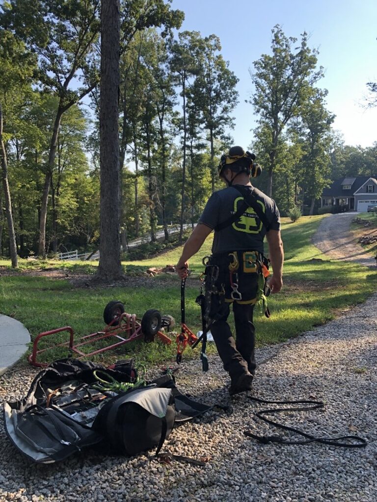 One of our arborists examining their tree service equipment