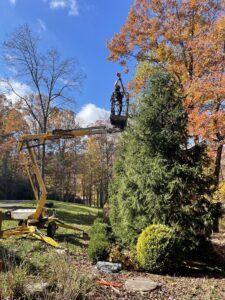 One of our trained arborists pruning and trimming a tree in the fall